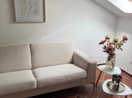 Apartment Damjan