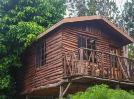 Cozy Treehouse - Saint Ann's Bay, Jamaica Adventure