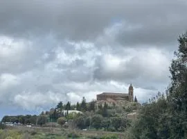 Montalcino numero10
