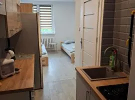 Mini Apartament