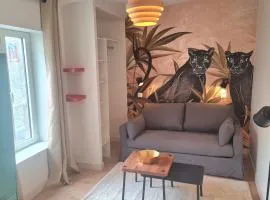 Charmant appartement face au port de Concarneau