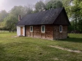Pod dębem