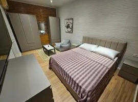 Studio Apartment near Pazari Ri