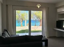 Serene beach house