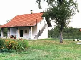 Vila Cosovic