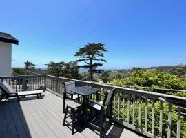 The Surly Mermaid-Ocean View Monthly