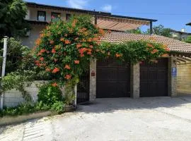 Пансион Делфини Варна