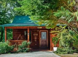 Smoky Mountain Cabin Hot Tub & Forest Views