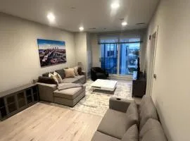 Luxurious 1BR, Pool, Gym, nr Blue Line