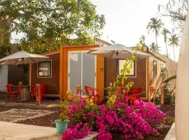 Casa Nautilus barra de navidad
