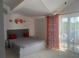 Diona 217, hotel en Tosor