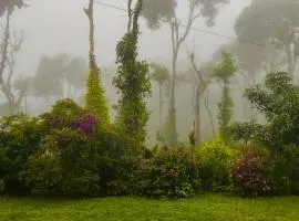 The Perch -Entire house. A Coffee Lover's Paradise