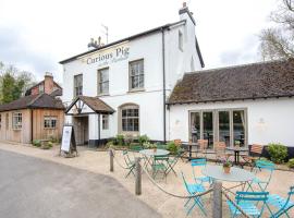 The Curious Pig in the Parlour, pet-friendly hotel in Burstow