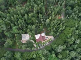 Vamsi's Woodside