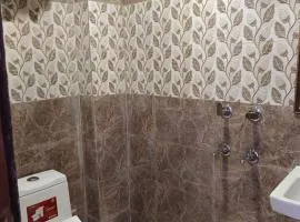 Hotel NP International - Couple Friendly Stay In Govindpuri Metro