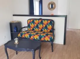appartement cosy avec jardin Amboise
