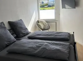 RheinSchatz Apartments 6