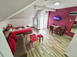 Vila Aleksandra 2 Studio 15