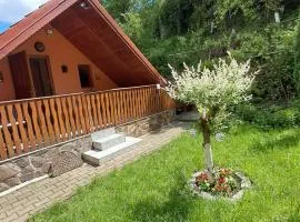 Casa Adimi