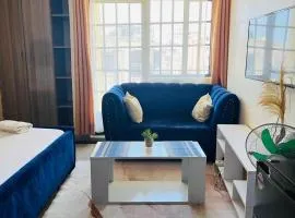 DNG Homes Cute studio apartment Polyview, Kisumu