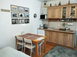 ECO-LUX APART with free bicycles end free parking