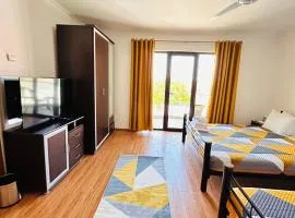 Casa Irina Costinesti