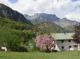 Haus Schiller