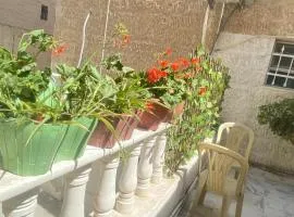 شقه بغرفه وصاله وبلكونه بدون شراكة
