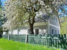 Oldřichov 125