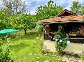 Cozy Quiet Retreat 70km from Sofia