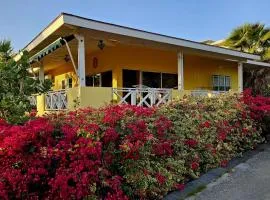 casa bella vista