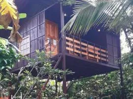 Lo Adoro Tree Hut Tourist Homestays