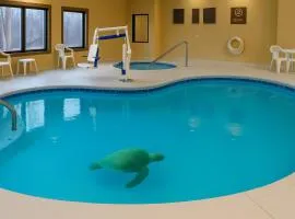 Vista Suites Near Island and Leconte Convention Center