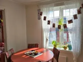 Cosy apartment