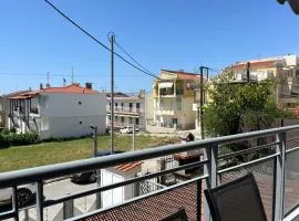 Sidis home flogita