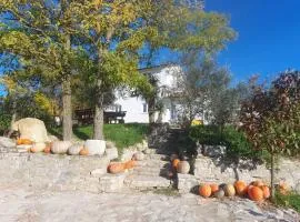 Family friendly house with a swimming pool Juradi, Central Istria - Sredisnja Istra - 24271