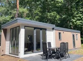 Luxurious Chalet Retreat in Veluwe