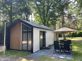 Modern chalet in Beekbergen with terrace
