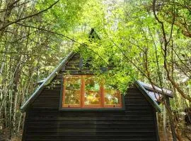 Escape to The Cabin - Queenstown Retreat