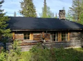 Villa Karhunkehto