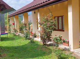 У Інни, hotel in Mizhhirʼʼya