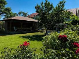 Casa de vacanță Ana și Ștefan, hotel em 2 Mai