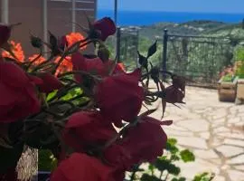 Sogno 2