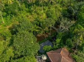 Tattva Ubud Retreat & Wellness