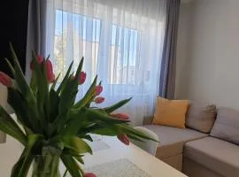 Suite Sandra Apartament