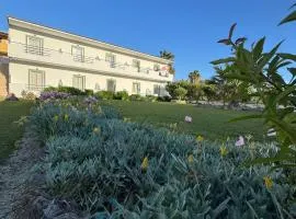 Irene Studios