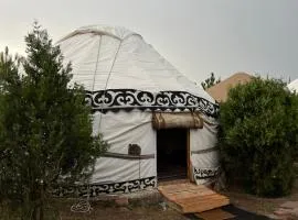 Asman - Yurt resort