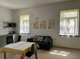 Sunshine apartment with a private roof terrace