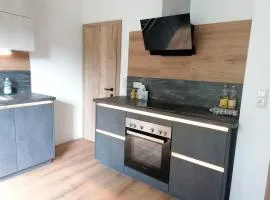 Apartment Alois in Seitenstetten