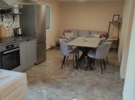 Apartments Nino